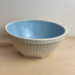 Image of TG Green 25cm white and Blue Easimix bowl front view