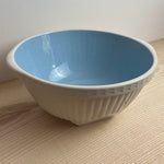 Image of TG Green 25cm white and Blue Easimix bowl side view