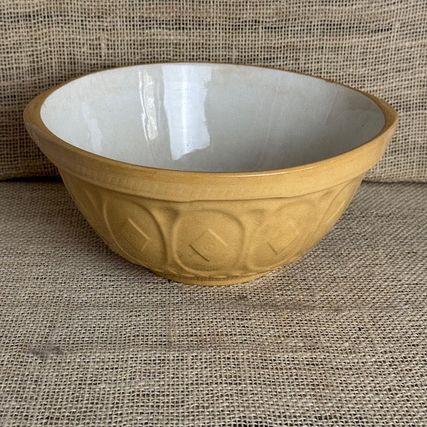 Image of TG Green 26cm non Gripstand mixing bowl front view