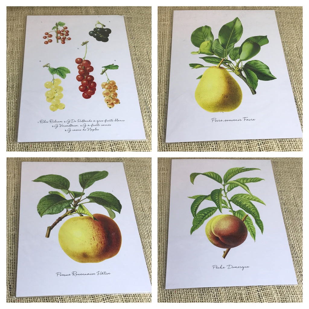 Set of four fruit prints