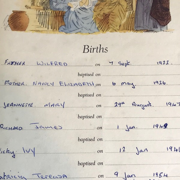 Image of Birth records in Howard family Bible