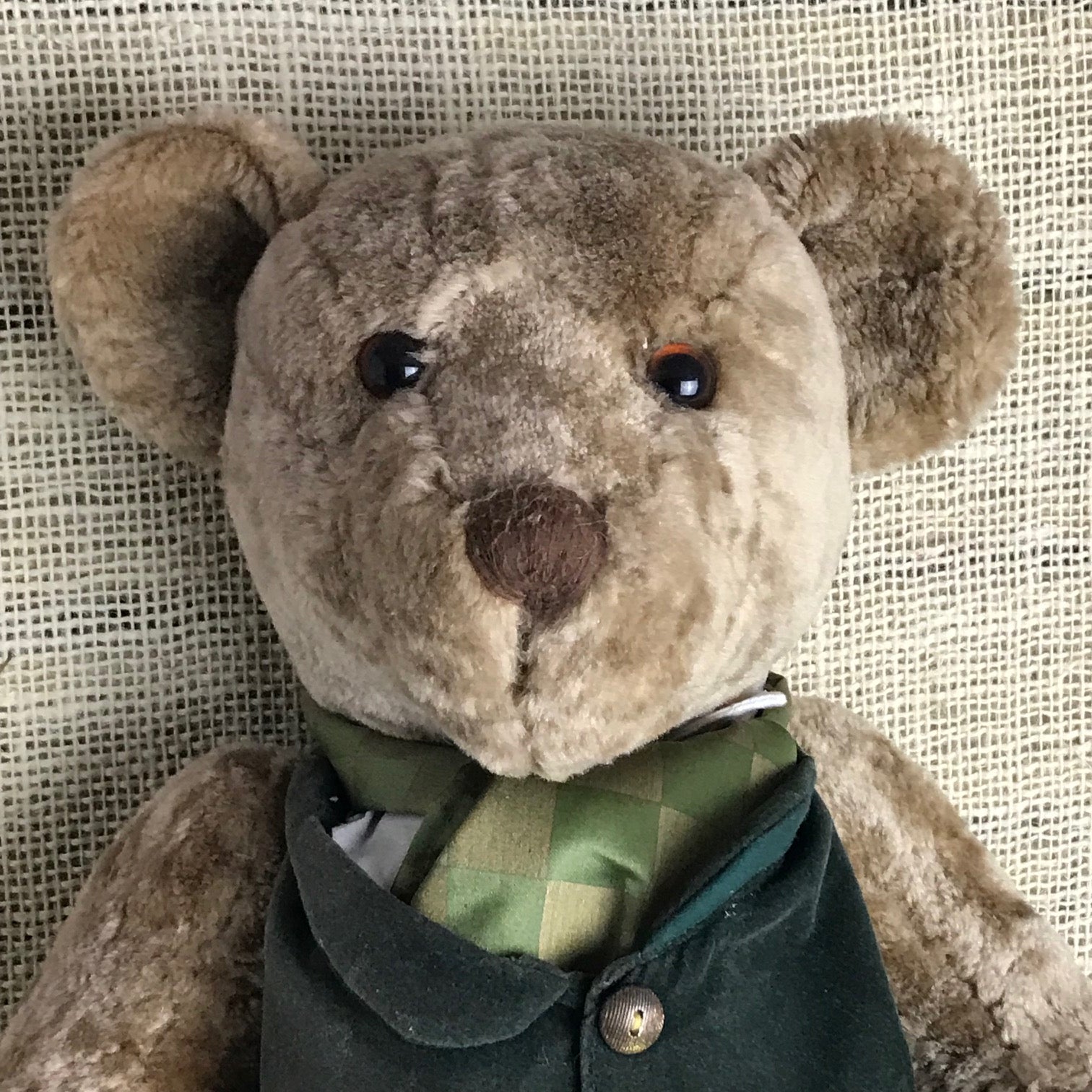 Image of Close up of Rodney the Harrods 150th year anniversary bear
