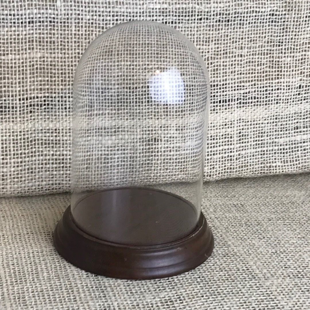 Glass display dome (medium)
