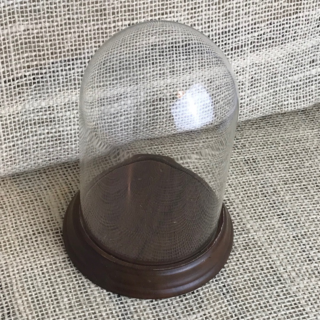 Glass display dome (medium)