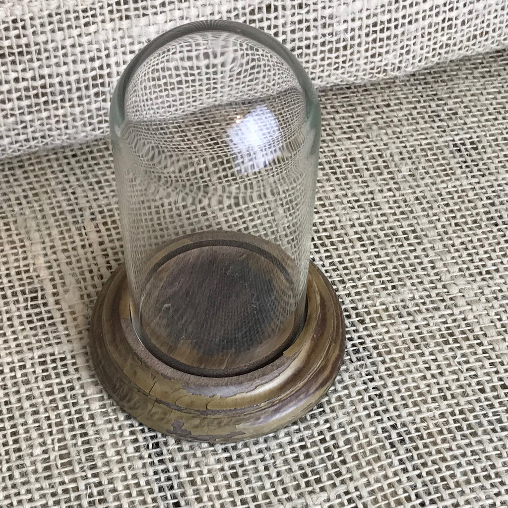 Glass display dome (small)