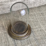 Glass display dome (small)