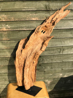 Large driftwood sculpture