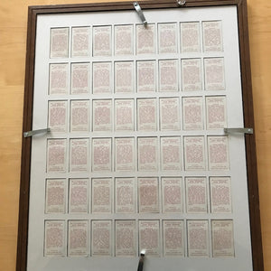 Full framed set of 48 Gallaher's Butterflies and Moths cigarette cards
