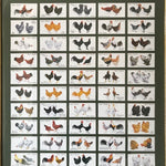 Full framed set of 50 Player's Poultry cigarette cards