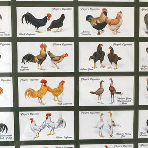 Full framed set of 50 Player's Poultry cigarette cards